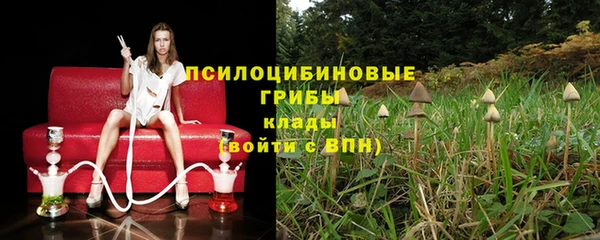 дмт Алексин